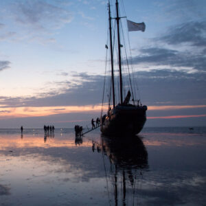 Waddenzee Rondreis (3 augustus t/m 9 augustus 2026)
